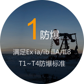 滿足EX ia\ib IIAIIB T1~T4防爆標(biāo)準(zhǔn)